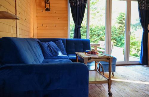 Barczewo Cabin | Domek Zalesie