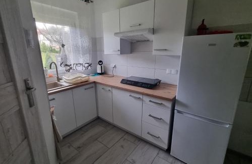 Woszakowice House | Domki Boszkowo-Dominice Bliźniak 2 apartamenty