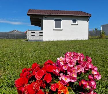 Gizycko House | Domki Me Mazury