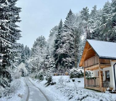 Lesko House | Domki Zew Natury