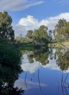 Uri House | Domo in Pianos