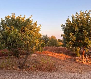 Morciano di Leuca Apartment | Domus Veretum
