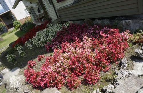 Shoufeng Bed & Breakfast | Dong Hua Dream House