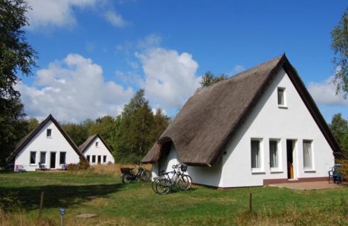 Hiddensee Apartment | Doppelhaushälfte in Vitte auf Hiddensee