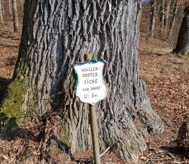 Poettmes Apartment | Dorfliebe Reicherstein