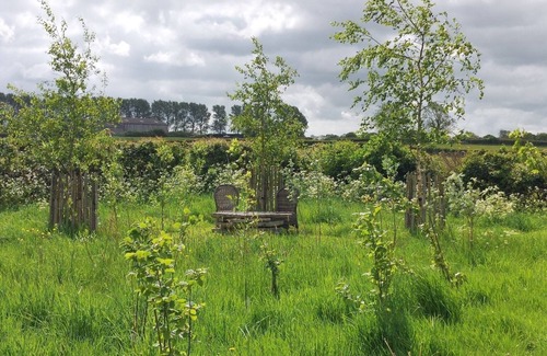 Wedmore Cabin | Doris our shepherds hut