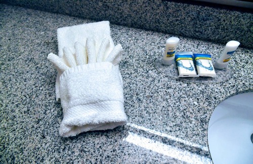 Douglas Hotel | Douglas Inn & Conference Center