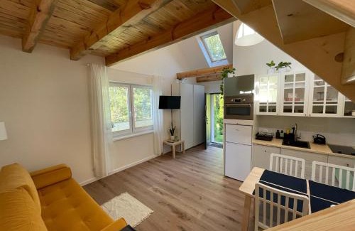 Wiele Apartment | Dowiośnie - domek w Wielu