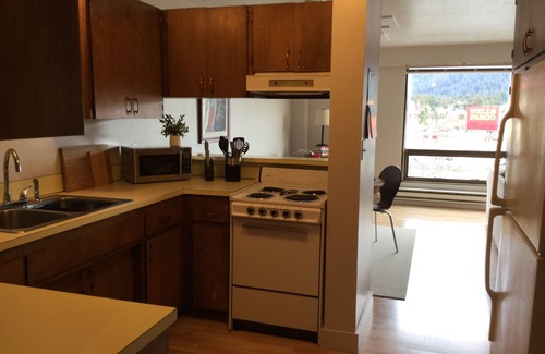 Sitka Apartment | Downtown Apt. 4 w/Ocean & Mountain Views.