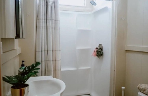Hilo Apartment | Downtown Hilo Oasis - Ocean View, Walkable