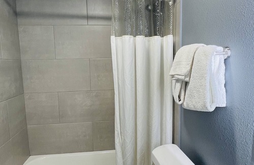 Temple Apartment | Downtown Historic 1 Bed 1 Bath Apartment Unit 202