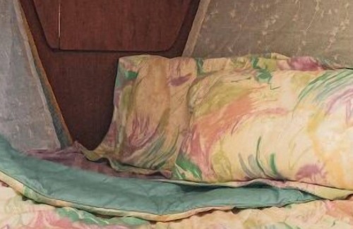 Sunny Shores Resort | Draft Pick