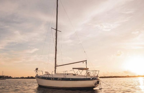 Sunny Shores Resort | Draft Pick