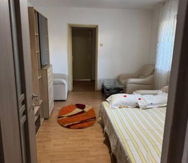 Drobeta-Turnu Severin Apartment | DRD Apartament 2
