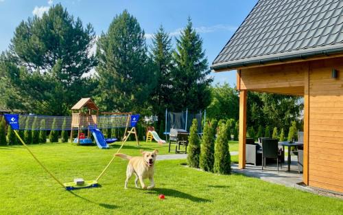 Polanica-Zdroj House | Dream Home Pet-Friendly - Ogród 600m2, Las 10min