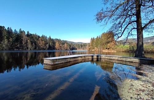 Hauzenberg Apartment | Dreiländereck 403, Sonderpreise im November wegen Hallenbadschließung