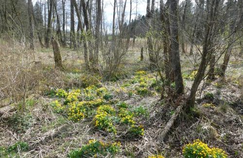 Hauzenberg Apartment | Dreiländereck 403, Sonderpreise im November wegen Hallenbadschließung