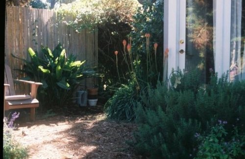 Marine Terrace Bed & Breakfast | Dreydon House B&B