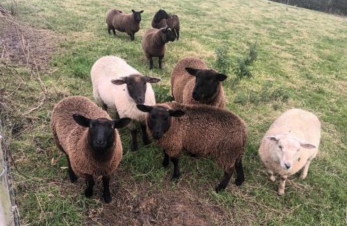 Bready House | Drumgauty Cottage