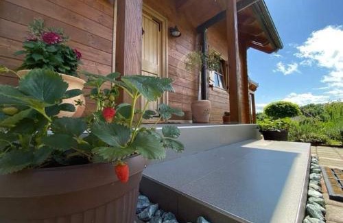 Barilovic House | Drvena kuća Marta