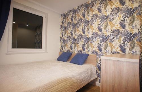 Zielona Gora Apartment | Drzewna Apartamenty -Augustowska