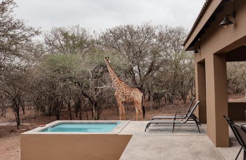 Marloth Park Apartment | Dung Beetle Bush Villa