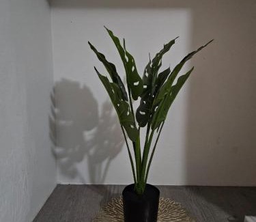 East London Apartment | Dunrobyn Court Tempo Stay