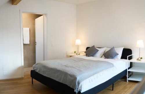 Buelach Apartment | Duplex Apartment Bülach Station