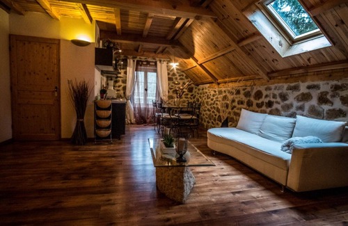 Sainte-Eulalie Apartment | Duplex "Loire-Gerbier-Mézenc"