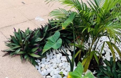 Berea Apartment | Durban 2 Bedroom Apartment