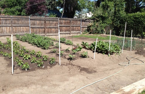 Rose Park House | Easy Access to everything!