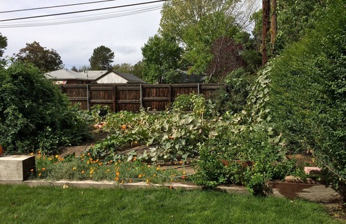 Rose Park House | Easy Access to everything!