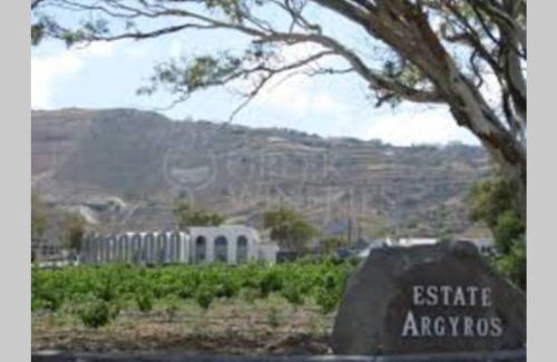 Episkopi Gonias Apartment | easy going santorini house