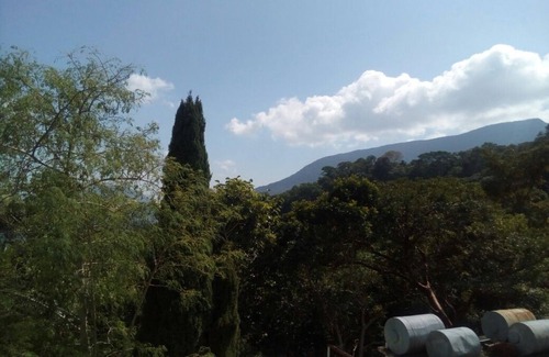 Pluma Hidalgo Hotel | Eco Hotel El Refugio, In the mountains but near the sea. - ROOM 12