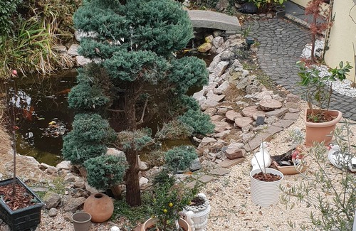 Euskirchen Apartment | Eifeler Romantiksuite Euskirchen Apartment Imperiale