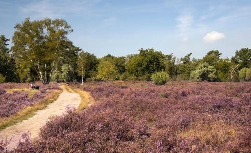 Lierop Apartment | Eikenhof