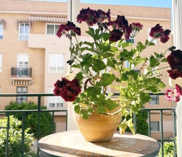 Sur Apartment | El balcón de la Luz
