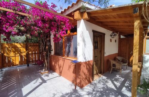 Carmona Apartment | El Grifo Casa de Campo con piscina exclusiva para huéspedes