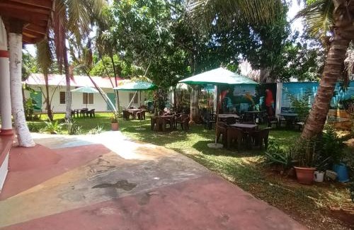 Las Galeras Hotel | El jardín del coco