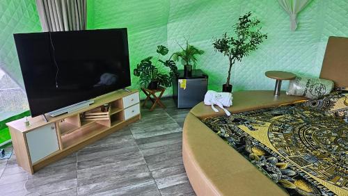 Zamora de Hidalgo Other | El Mirador Family Glamping DOMO GEODESICO