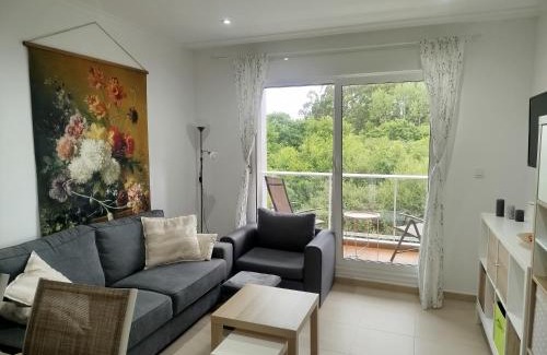 Barreiros Apartment | El Valle