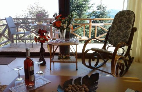 Mesaia Trikala Apartment | Elatos cozy Studio