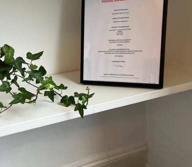 Belfast City Centre Apartment | Elderberry Apartment