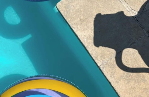 Diso House | Eliados Farmhouse - (4)Bungalow with pool and common areas, nestled among olive trees!