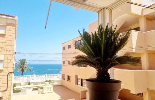 Mil Palmeras Apartment | Elizabeta - Playa Mil Palmeras