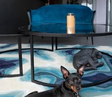 Bolognina Hotel | Elizabeth Lifestyle Hotel