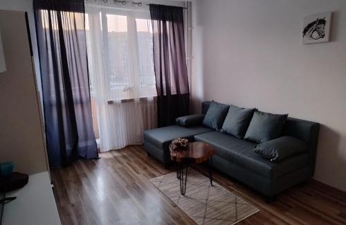 Pierwoszyno Apartment | Elli apartament