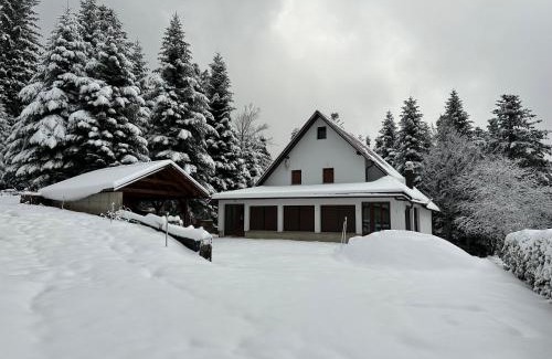 Lokve Villa | EMI Lokve