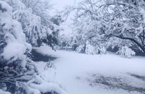 Underberg Hotel | eMkhosini Royal Sun