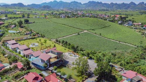 Moc Chau Resort | Emopea Moc Chau